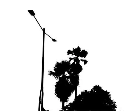 Set of silhouettes of palm trees on a white background. Vector illustration Stock Illustration