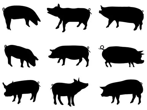 Set of silhouettes of pigs Stock Illustration