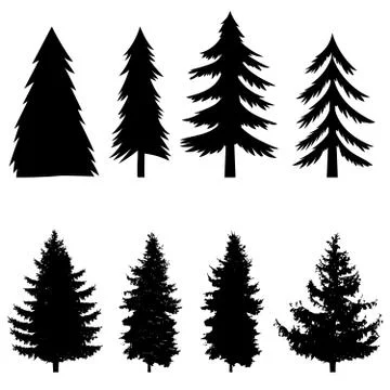 Set of silhouettes of pine tree isolated on white background. Design element  Stock Illustration