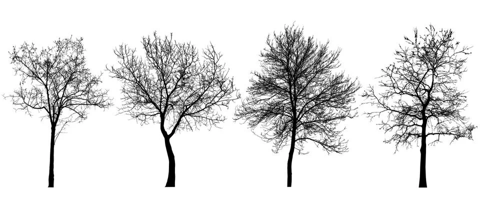 Set of silhouettes of trees Stock Photos