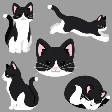 Set of simple and adorable black and white cat illustrations flat colored Stock Illustration