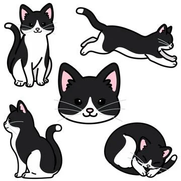 Set of simple and adorable black and white cat illustrations outlined Stock Illustration