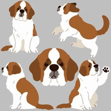 Set of Simple and adorable flat colored Saint Bernard Dog illustrations Stock Illustration