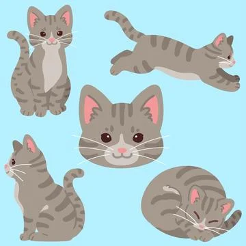 Set of simple and adorable Gray Tabby cat illustrations flat colored Stock Illustration