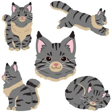 Set of simple and adorable Grey Maine Coon cat illustrations flat colored Ilustración de archivo