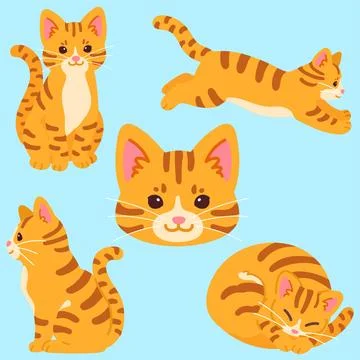Set of simple and adorable Orange Tabby cat illustrations flat colored Stock Illustration