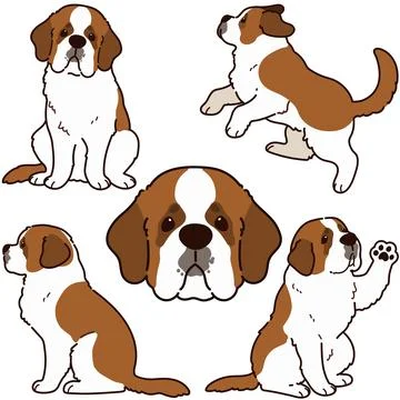 Set of Simple and adorable outlined Saint Bernard Dog illustrations Stock Illustration