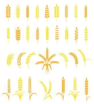 Set of simple and stylish Wheat Ears icons Stock Illustration