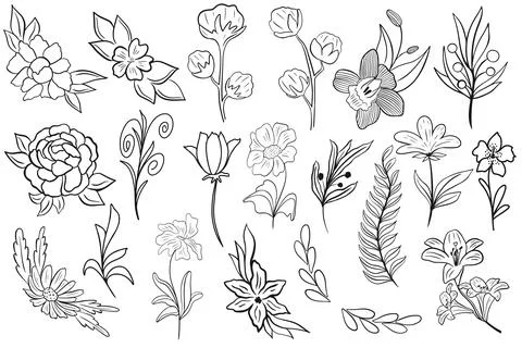 Set of simple botanical elements for design, vector illustration. Stock Illustration