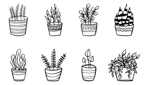 Set of simple doodle Vector houseplants and flowers in pots. Vector flat Stock Illustration