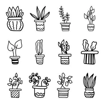 Set of simple doodle Vector houseplants and flowers in pots. Vector flat Stock Illustration