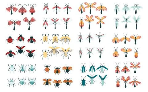 Set of simple flat dragonfly with different wings collection insects flat vector Stock Illustration