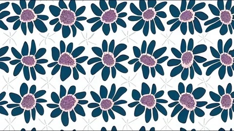 Set of simple floral seamless animations. Small and large Stock Footage 220145950