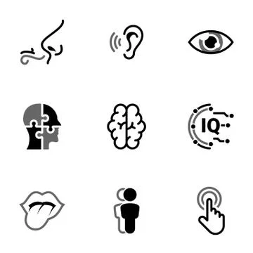 Set of simple icons on a theme Sense organs, man, mind, processing, perceptio Stock Illustration