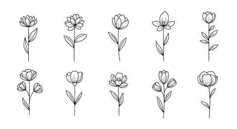 A set of simple line drawings of various flowers Stock Illustration