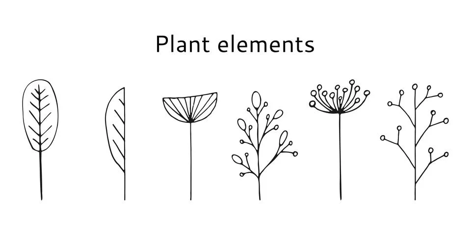 Set of simple Plant elements isolated on a white background. Illustrazione stock