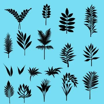 Set of simple silhouette of exotic leaf Stock Illustration