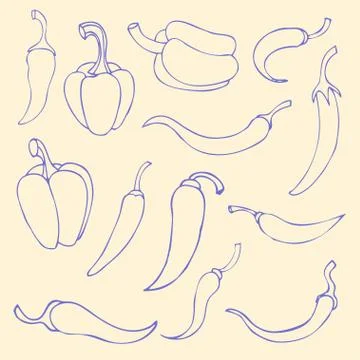 Set simple sketch icon red hot chili peppers and bell peppers. D Illustrazione stock