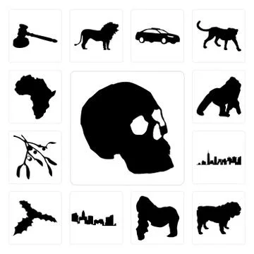 Set of simple skull outline on white background, bulldog gorilla, north carol Free Stock Illustration
