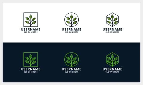 Set of Simple tree logo design template with leaf line art style Stock Illustration
