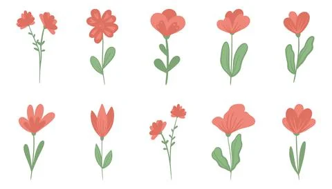 Set of simple Vector Flowers. Vector flat floral illustration Stock Illustration