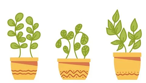Set of simple Vector houseplants and flowers in pots. Vector flat illustration Stock Illustration