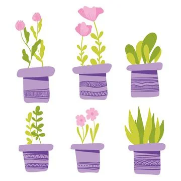 Set of simple Vector houseplants and flowers in pots. Vector flat illustration Stock Illustration
