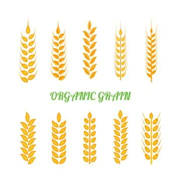 Set of simple wheats ears icons and wheat design elements for beer, organic w Stock Illustration