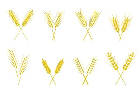 Set of simple wheats ears icons and wheat design elements. Stock Illustration