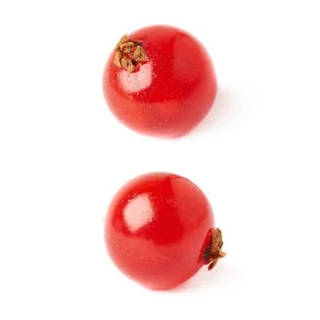 Set of Single Red Currant isolated over white background Stock Photos