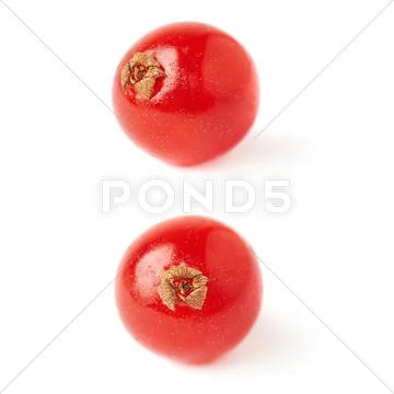 Set of Single Red Currant isolated over white background Stock Photos