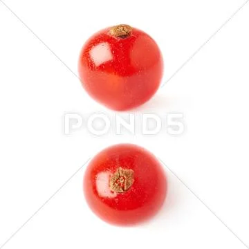 Set of Single Red Currant isolated over white background Stock Photos