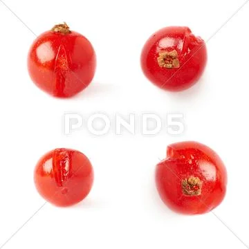 Set of Single Red Currant isolated over white background Stock Photos