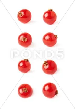 Set of Single Red Currant isolated over white background Stock Photos