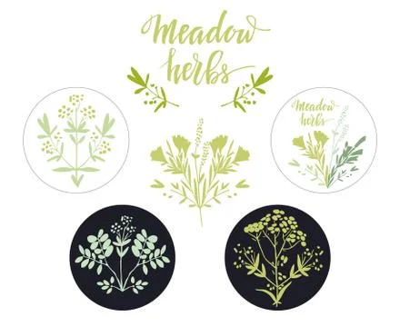 Set of six additional decorative elements for Meadow Herbs collection 库存插图