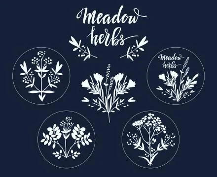 Set of six additional decorative elements for Meadow Herbs collection Stock Illustration