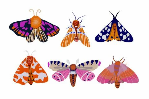 Set of six brightly colored moths. Vector illustration Illustrazione stock