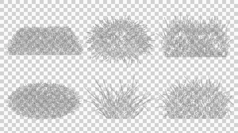 Set of six diverse grass clusters in elevation view isolated on transparent Stock Illustration