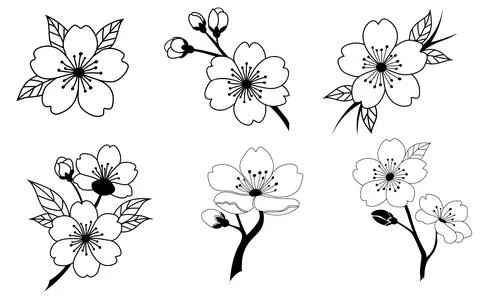 A set of six hand-drawn cherry blossom branches with detailed flowers and lea Illustrazione stock