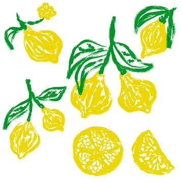 A set of six illustrations featuring lemons and leaves, done in oil pastel or Stock Illustration