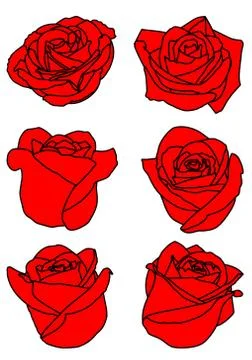Set of six red rose buds Stock Illustration