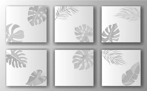 A set of six square templates featuring various tropical leaf designs in Stock Illustration
