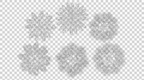 Set of six stylized coniferous tree silhouettes top view isolated Stock Illustration
