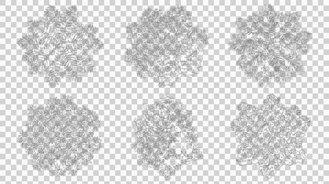 Set of six top view tree sketches isolated on transparent background Stock Illustration