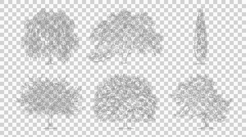 Set of six trees in elevation view isolated on transparent background Stock Illustration