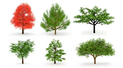 Set of six trees isolated on white background Stock Illustration