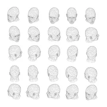 Set with a skeleton of a man's head in different positions from black lines Stock Illustration