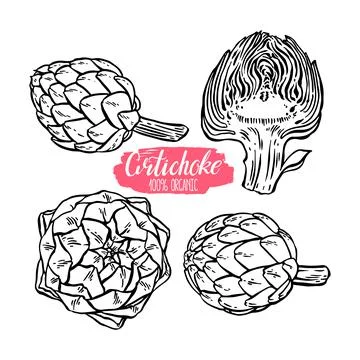 Set of sketch artichokes Stock-Illustration