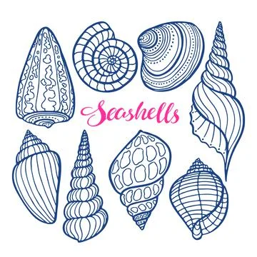 Set of sketch seashells 스톡 일러스트