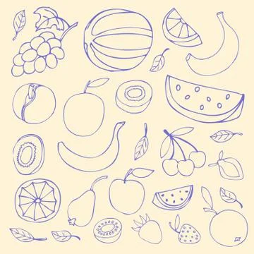 Set Sketches of fruit, isolated, vector illustration. Illustrazione stock